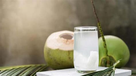 Mimpi minum air kelapa Biasanya, penafsir mimpi mengartikan kelapa sebagai hal-hal baik yang akan terjadi pada kehidupan seseorang